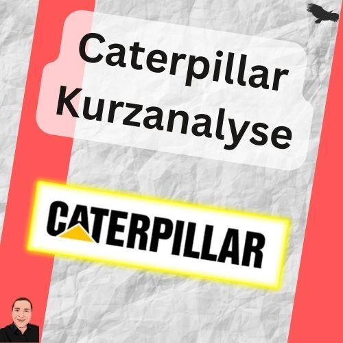 Gastbeitrag 5 CAT Beitragsbild Quadrat
