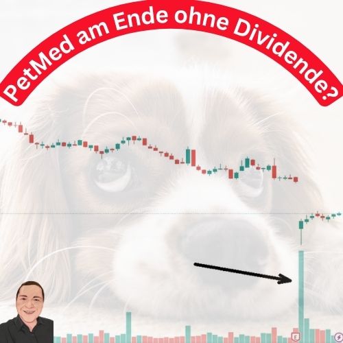 PETS am Ende ohne Dividende Beitragsbild Quadrat